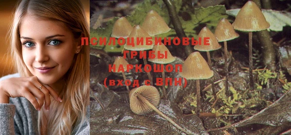 кристаллы Алексин