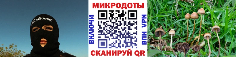 где продают наркотики  Луза  Галлюциногенные грибы прущие грибы 